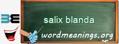 WordMeaning blackboard for salix blanda